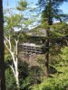 Kiyomizu-dera 
