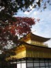Kinkaku-ji temple